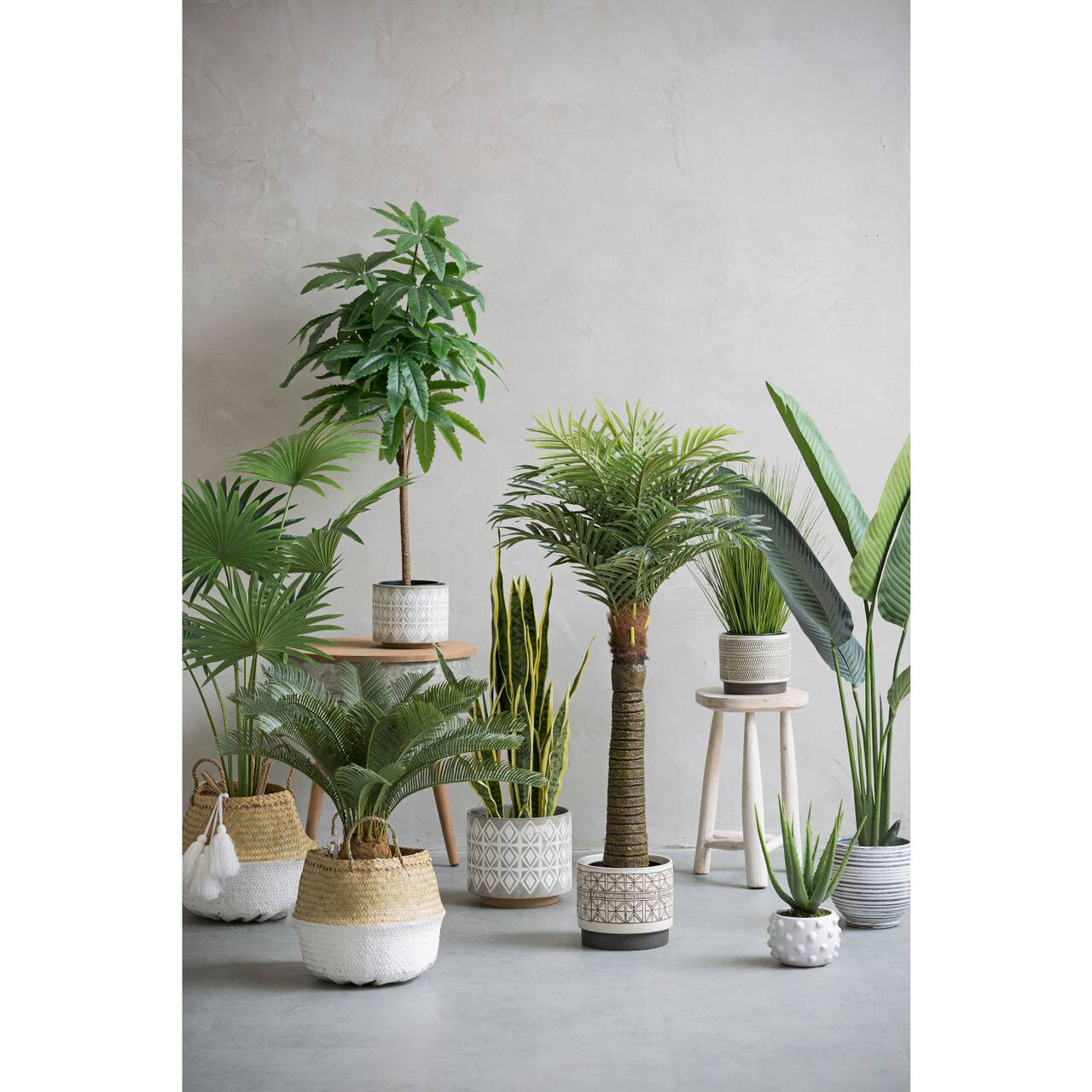 Collection of potted plants on a gray floor with a neutral background